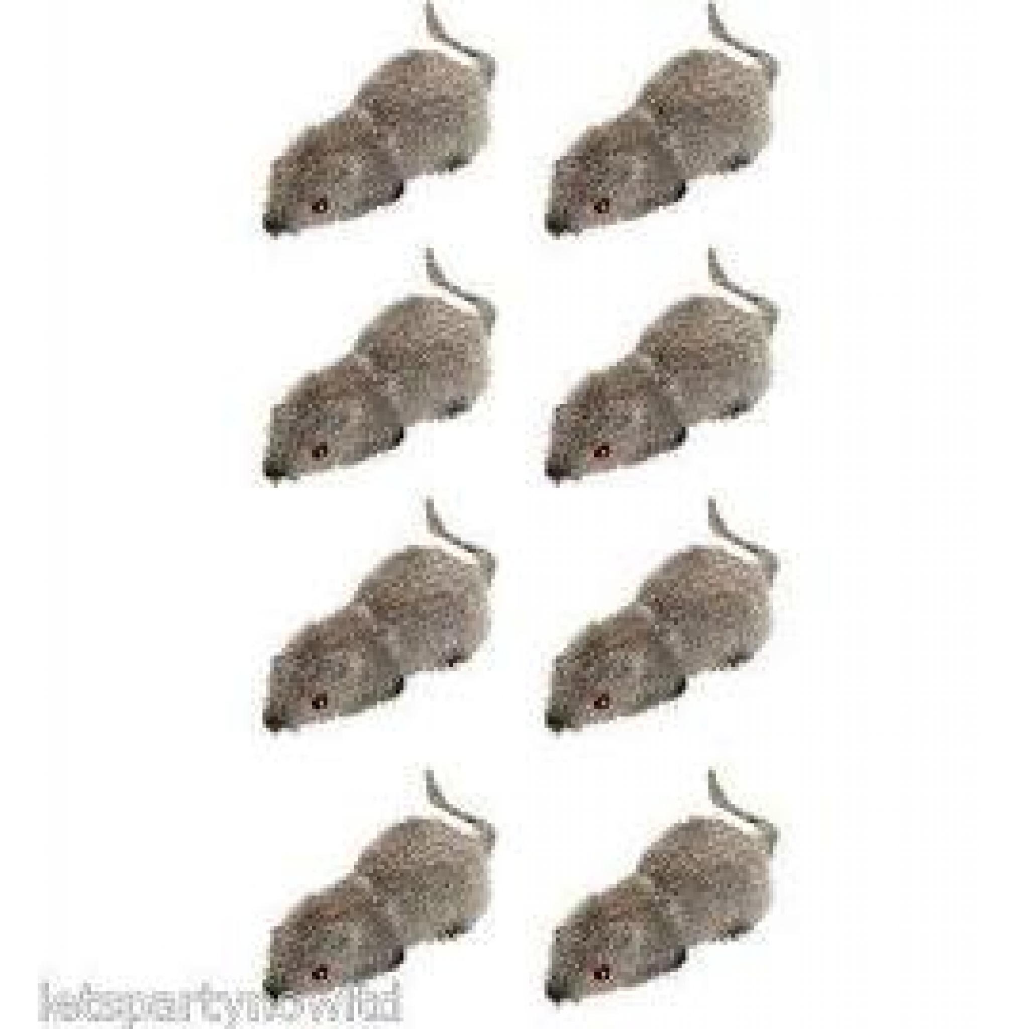 Packet Of 8 Hairy Small Mice 6x25cm Party Party 