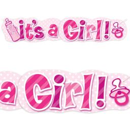 It s a Girl Baby Shower Giant Banner 4.47ft