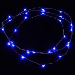 25 LED Wire Lights With Timer Blue