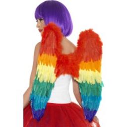 Rainbow Feather Wings 60x60cm