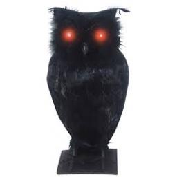 Owl Black with Sound And Light