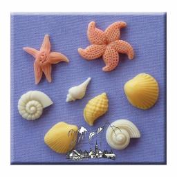 Shells & Starfish Mould By Alphabet Moulds