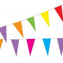 BUNTING ASSORTED COLOUR 10m 20 flags