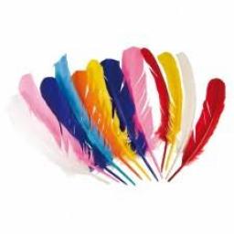 Indian Feathers Assorted Colours 12pcs