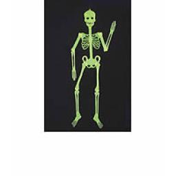 Glow In The Dark Skeleton 32cm