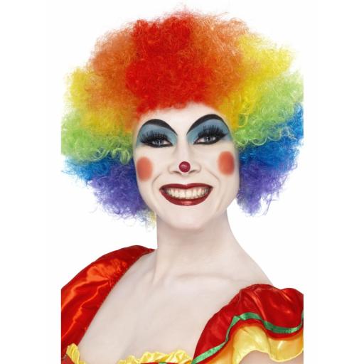 Crazy Clown Wig Rainbow Colours