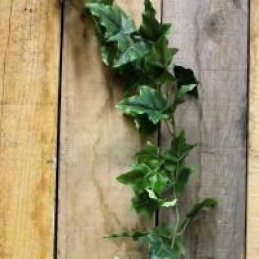 English Ivy Garland x 84 leaves (6ft)