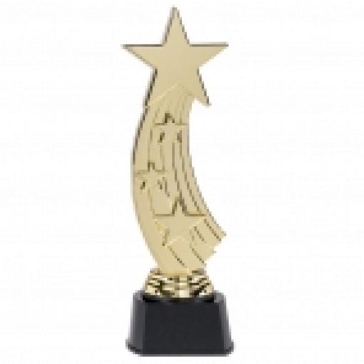 Trophy Shooting Star Award