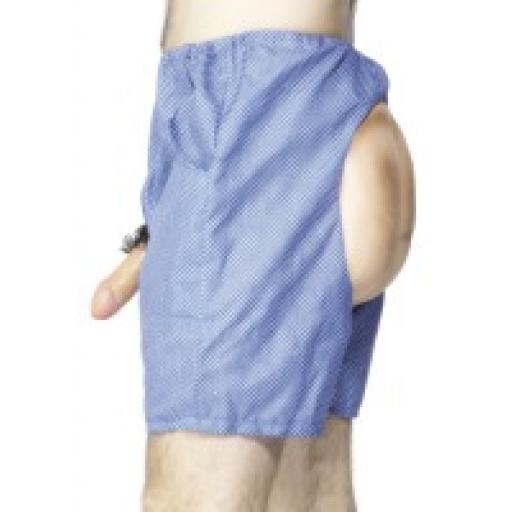 Bum and Willy Shorts, Blue Stag Night