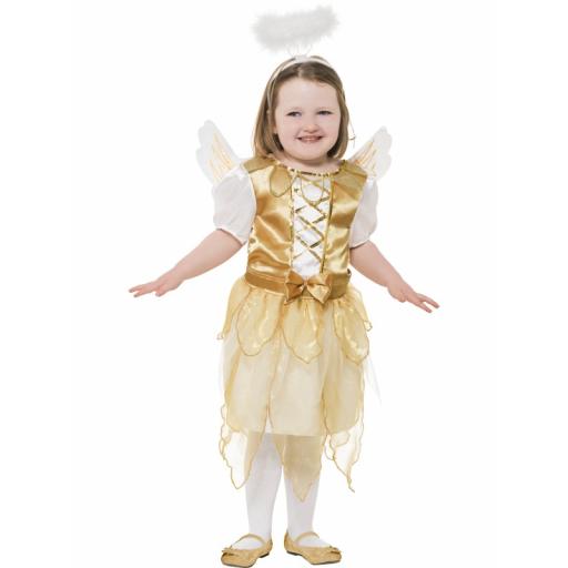 Angel Fairy Dress Wings And Halo Age 7-9