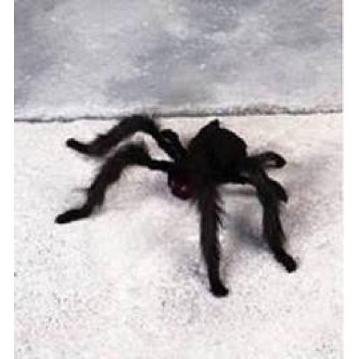 Black Furry Spider Mega Huge