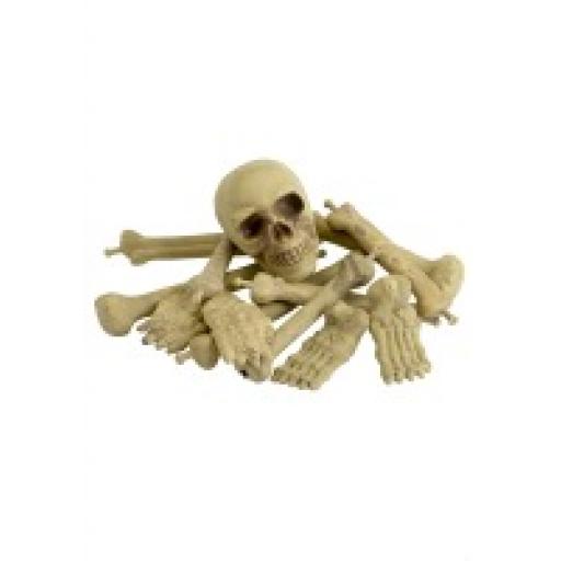 Bag of Bones in Net Bag includes Skull