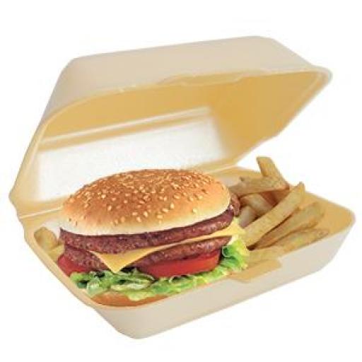 10 Burger & Fries Box Styroform Disposable