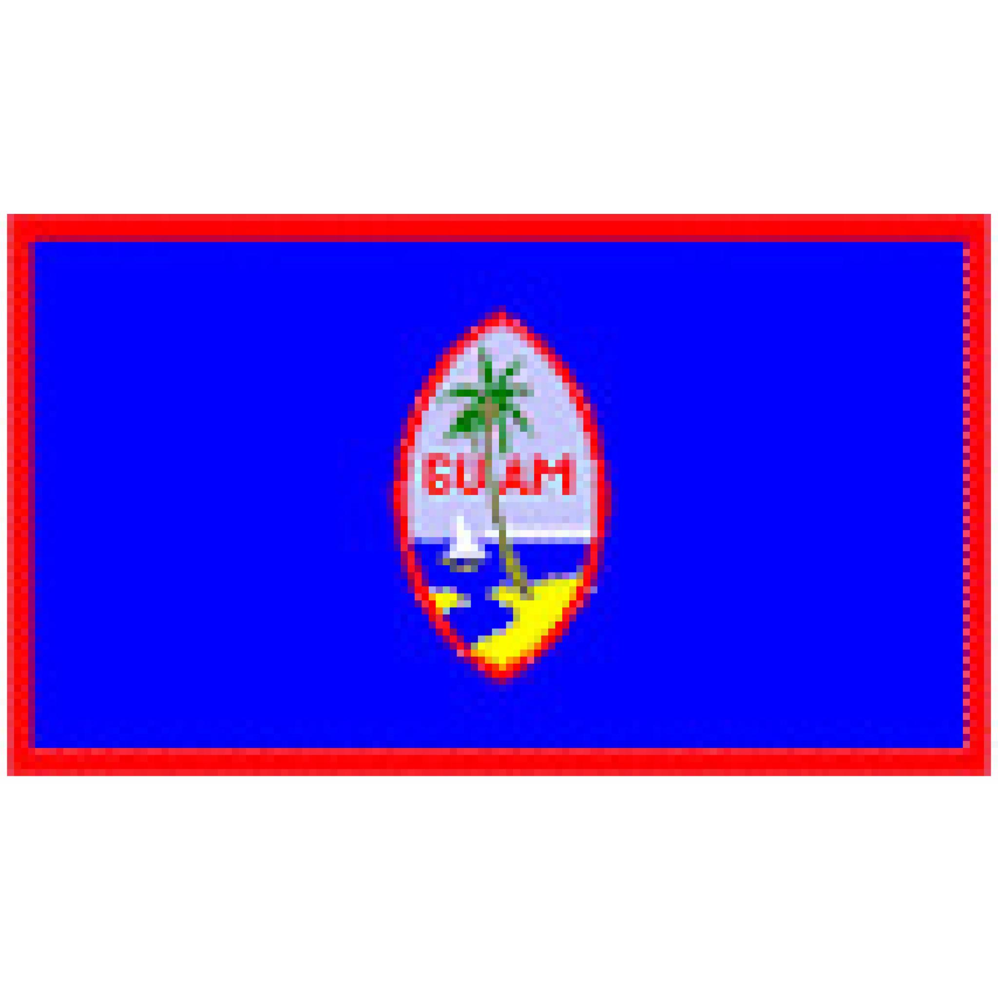 Flag of Guam Party Party