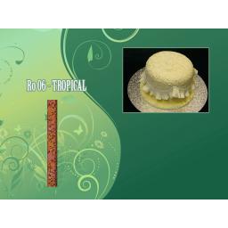 Textured Rolling Pin 16in Tropical