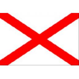 Flag of Stpatrickscross