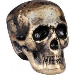 Skull Goldberg 17x16cm