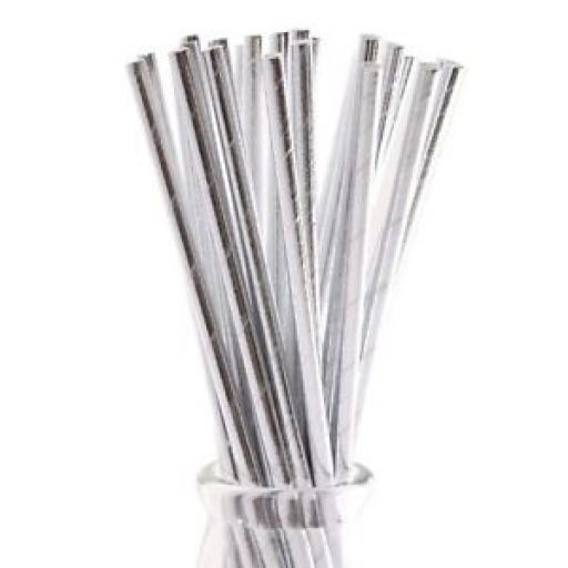 10 Silver Metallic Paper Straws
