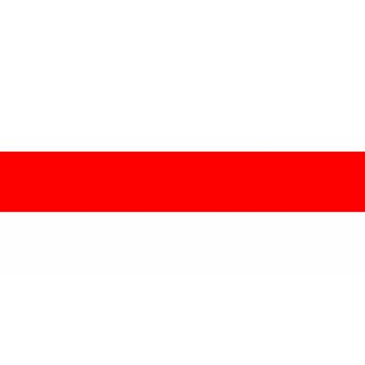 Flag of Belarus (1991 Old)