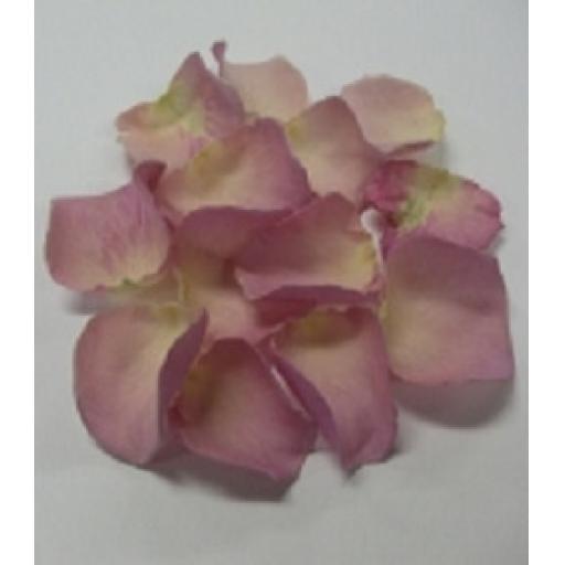 Paper Petal Confetti 100 per pk Pink/Ivory