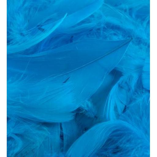 Eleganza Feathers Mixed sizes 3inch-5inch 50g bag Turquoise No.55