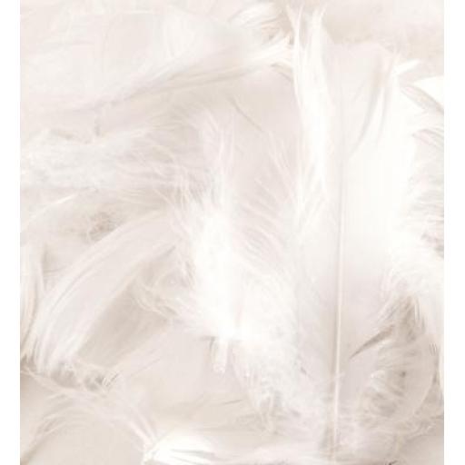 Eleganza Feathers Mixed sizes 3inch-5inch 50g bag White No.01