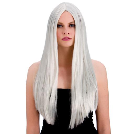 Silver White Ladies Long Straight 24" Halloween Old Witch Woman Wig