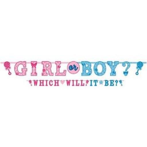 Girl or Boy Letter Banner Kit