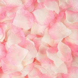 1000 Blush Rose Petals.jpg