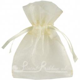 Small Ivory Organza Pouch.jpg