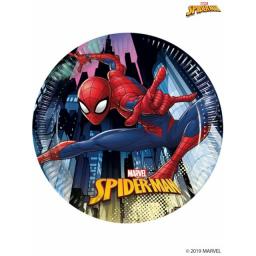 Spider Man Paper Plates 20cm.jpg