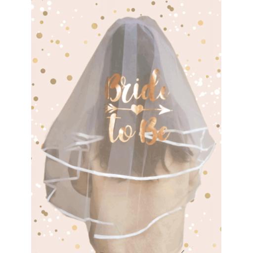 Comb Veil Bride to Be Rose Gold Bridal Hen Party Night Wedding Fancy Dress