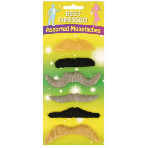 6 Assorted Coloured Moustaches