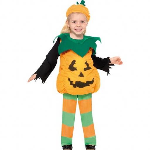 Little Pumpkin Costume 1-2 yrs