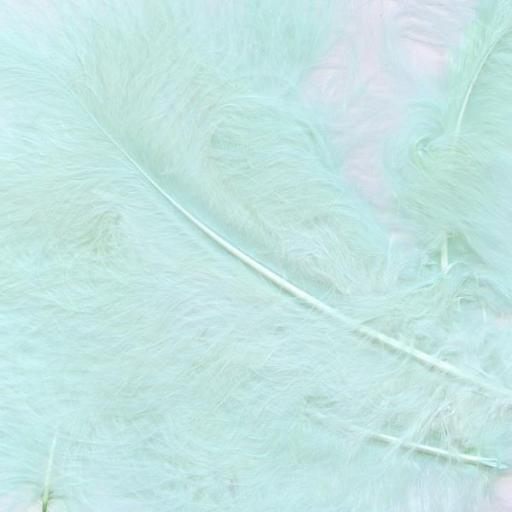 Baby Blue Eleganza Decorative Feathers 8g