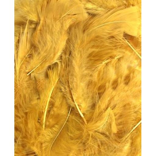 Gold Feathers Mixed Sizes 3''- 8''