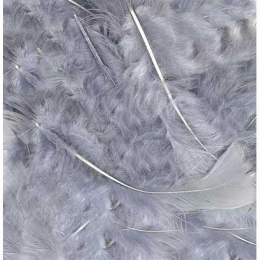 Silver Feathers Mixed Sizes 3''- 8''