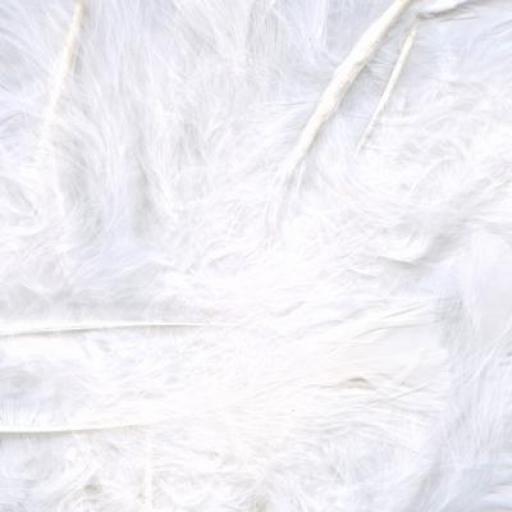 White Feathers Mixed Sizes 3''- 8''