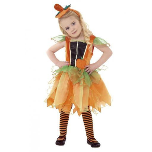 Pumpkin Fairy Costume Size T2