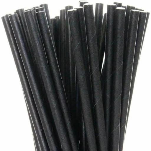 Bio-Degradable Paper Straws Size:20Cm