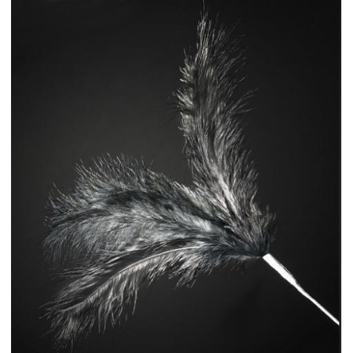 3 Feathers Spray H.280mm Black - 36 per pack