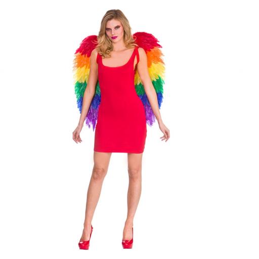 Large Rainbow Feather Wings 75 x 75 cm