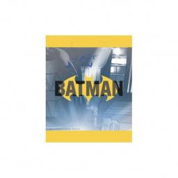 8-batman-loot-bags-p56515-48425_medium.jpg