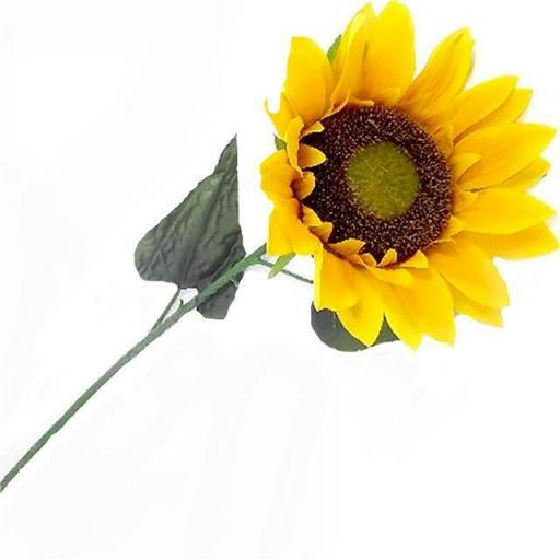 Sunflowers Single Stem