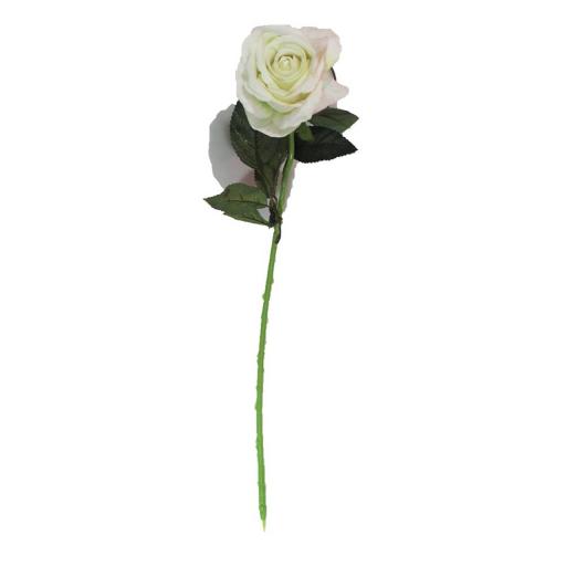 Arundel Open Rose Ivory (76cm x 13cm)