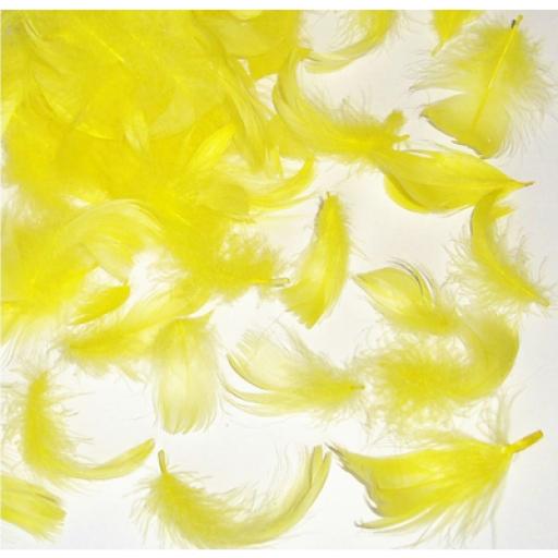 Feather Yellow 5 Gr