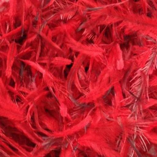 Red Feathers in Bag (5grams)