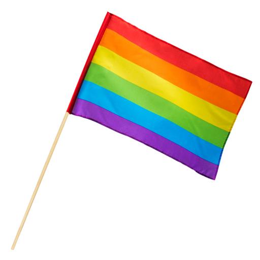 Polyester Hand flag Rainbow