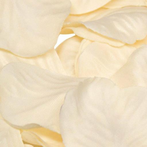 Cream Rose Petal Confetti