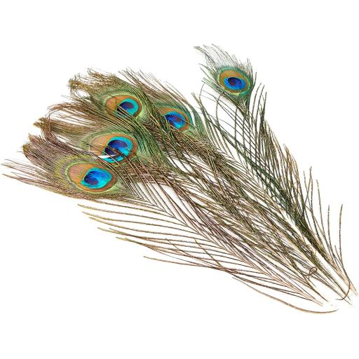 Eleganza Large Peacock Eye Feathers 76-88cm 5pcs